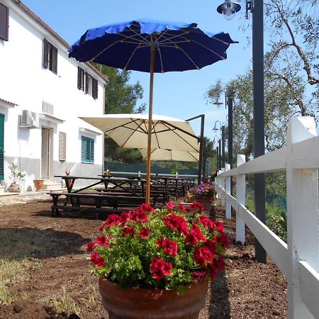 Agriturismo Affittacamere Atlhos Vieste Kültér fotó