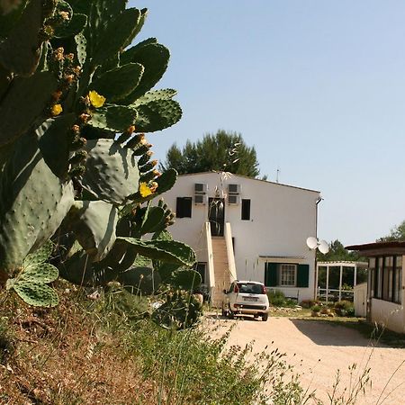 Agriturismo Affittacamere Atlhos Vieste Kültér fotó