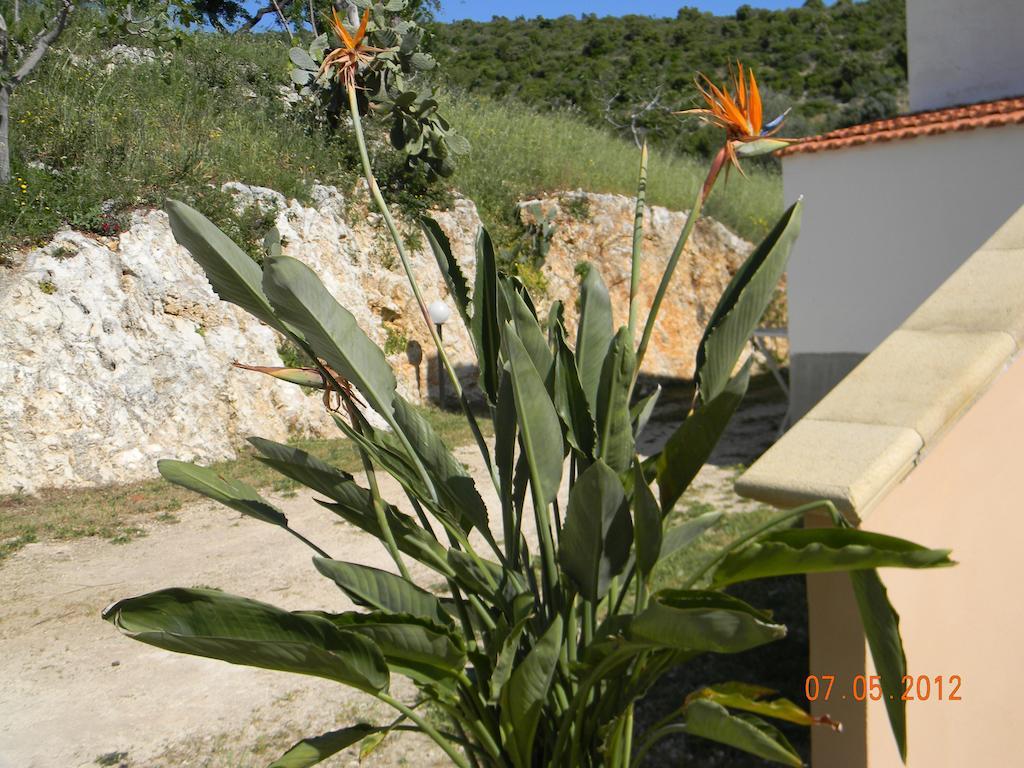 Agriturismo Affittacamere Atlhos Vieste Kültér fotó