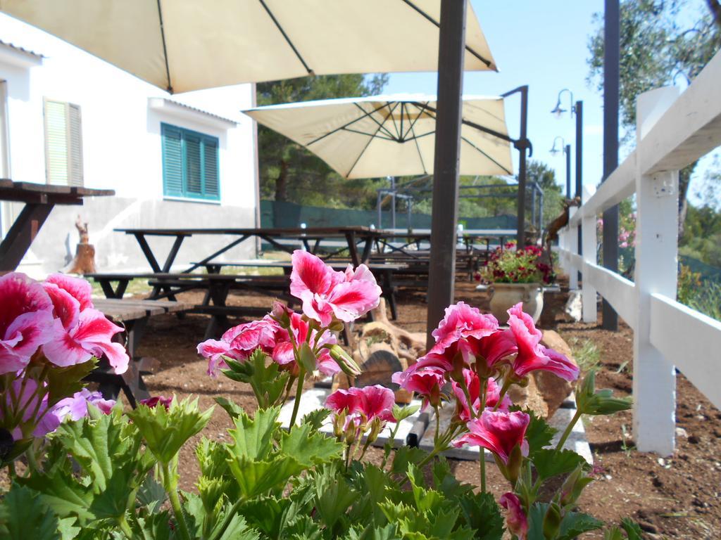 Agriturismo Affittacamere Atlhos Vieste Kültér fotó